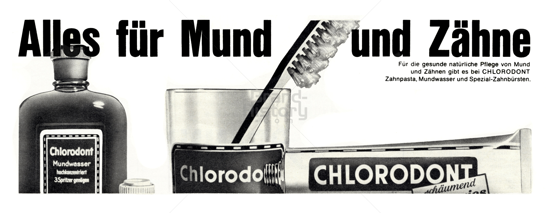 Chlorodont